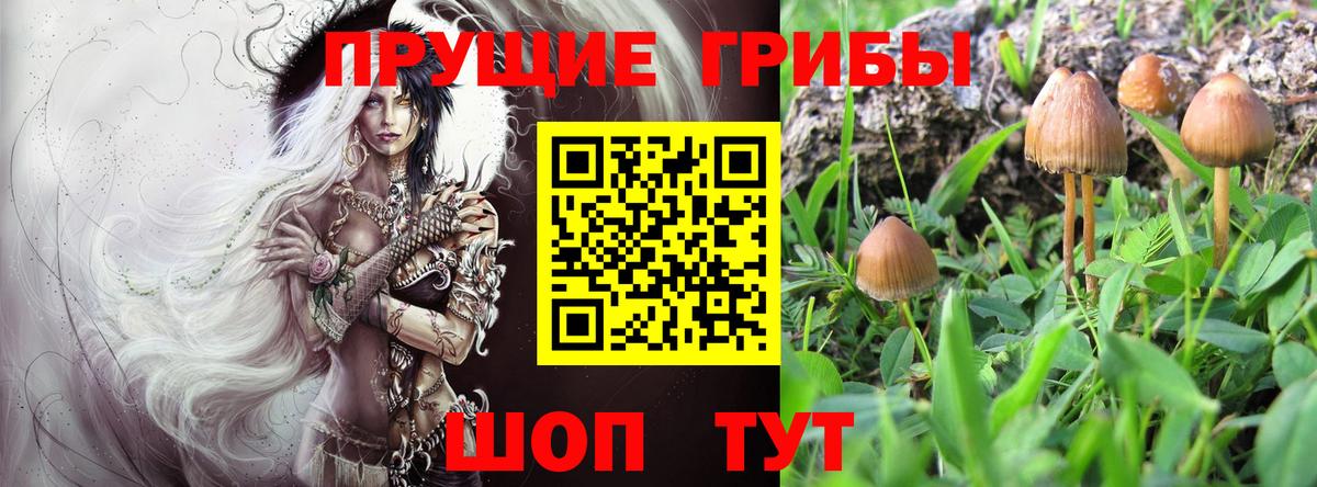 Галлюциногенные грибы прущие грибы  Галлюциногенные грибы GOLDEN TEACHER  Вход с VPN  Партизанск 